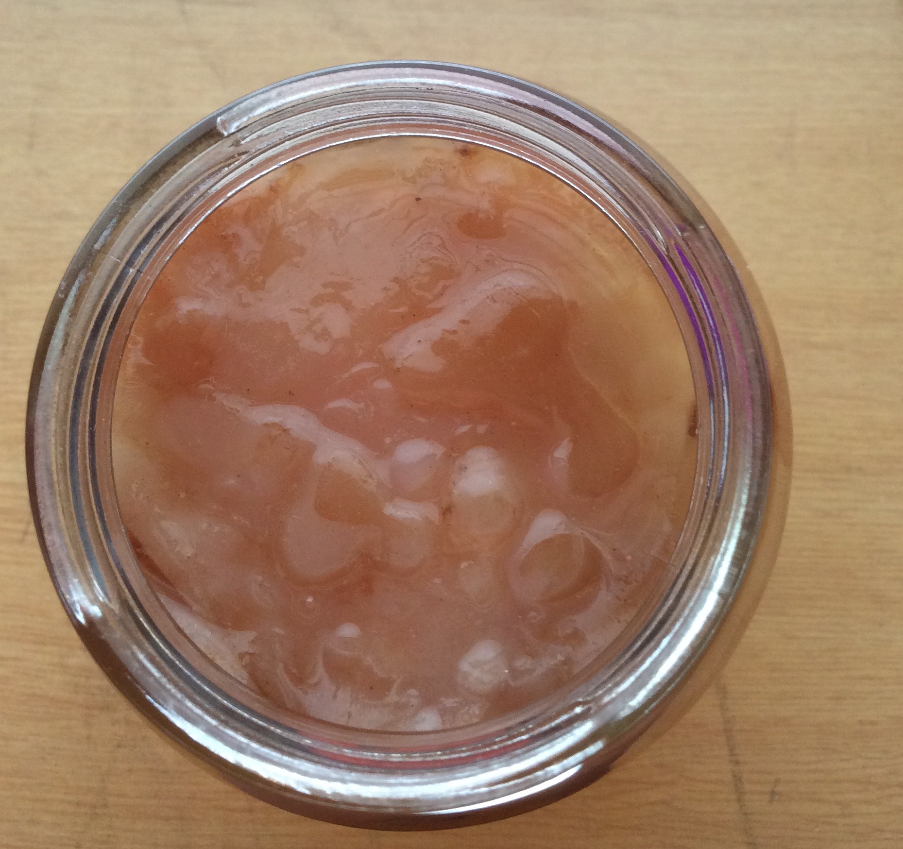 Kombucha SCOBY