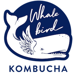 Why Whalebird Kombucha on tap is the perfect beverage to drink all day at your office