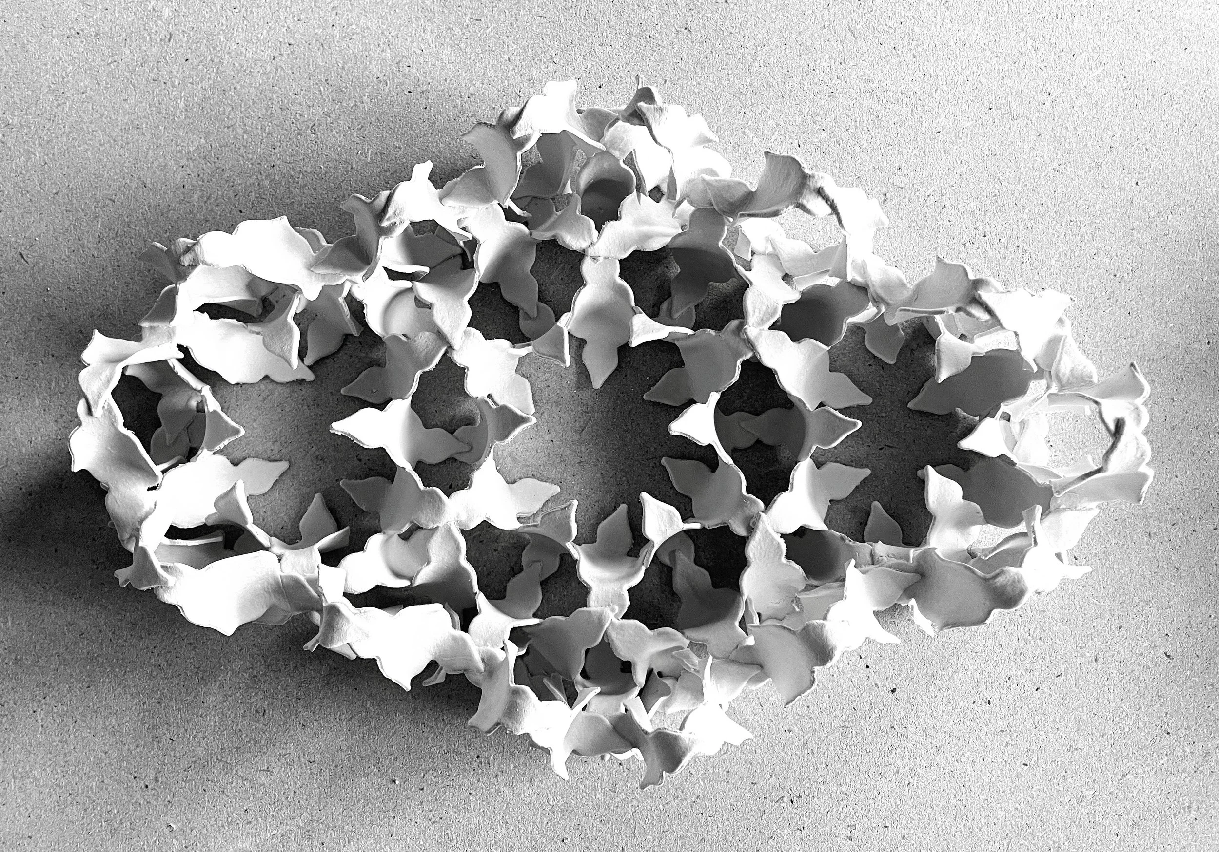 IMG_6563-EDIT (1).jpg