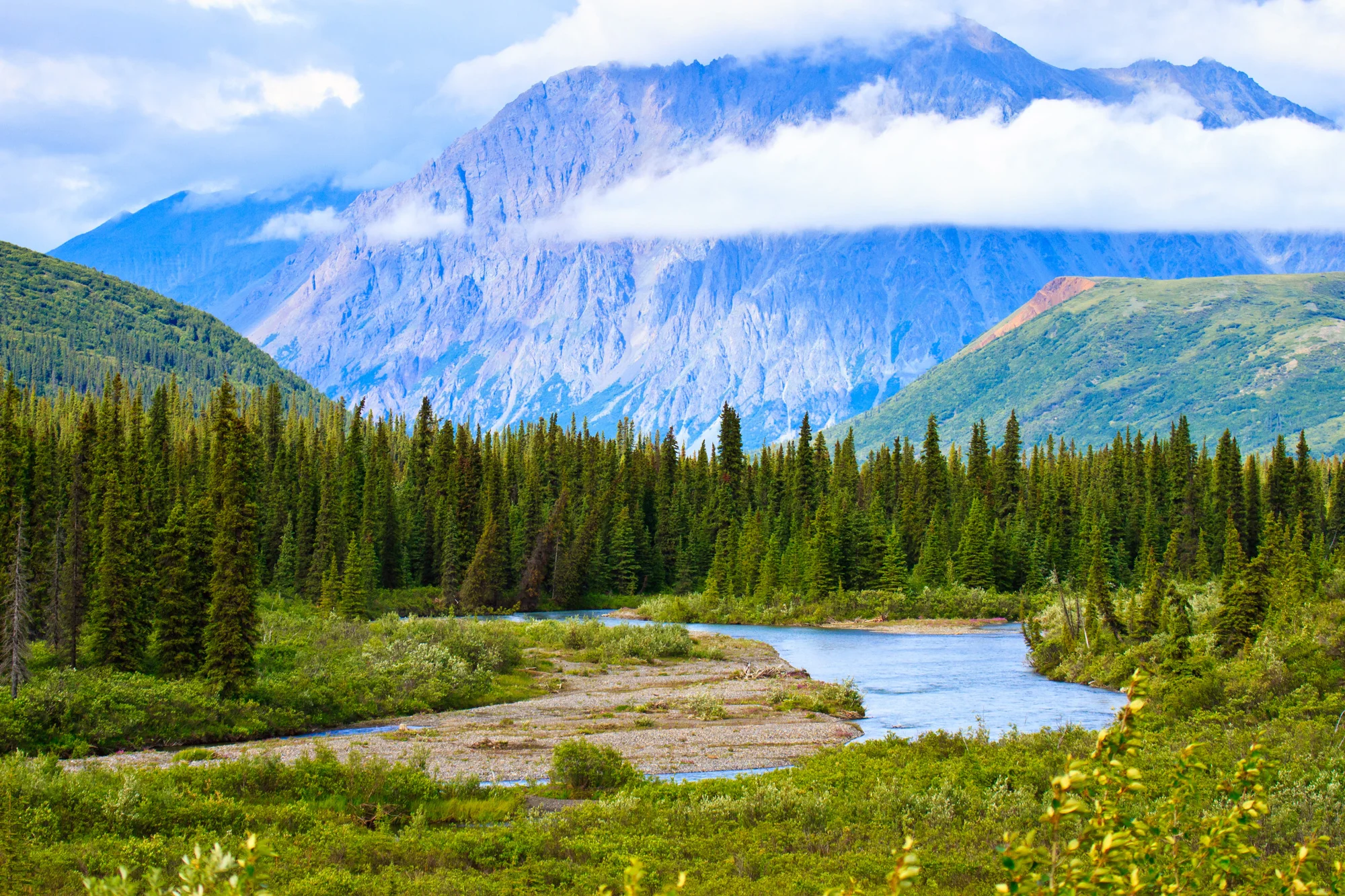 AlaskaDenaliNatPk_xxl_20160806.jpg