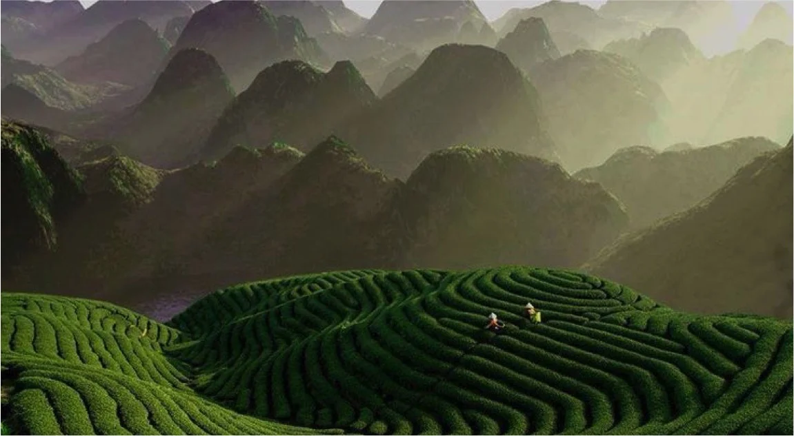 Zhejiang Pic.jpg