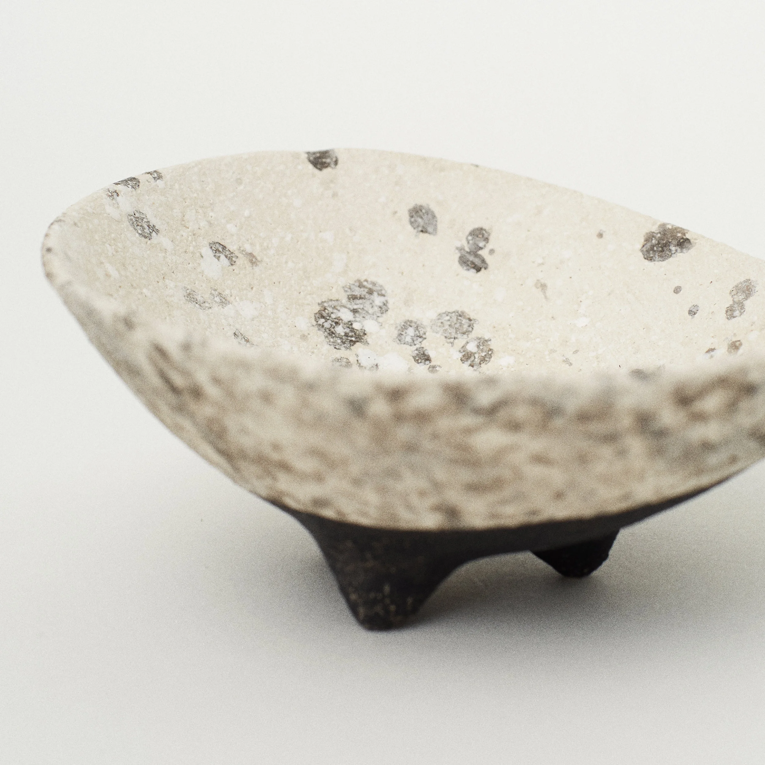 Dish82-2.jpg