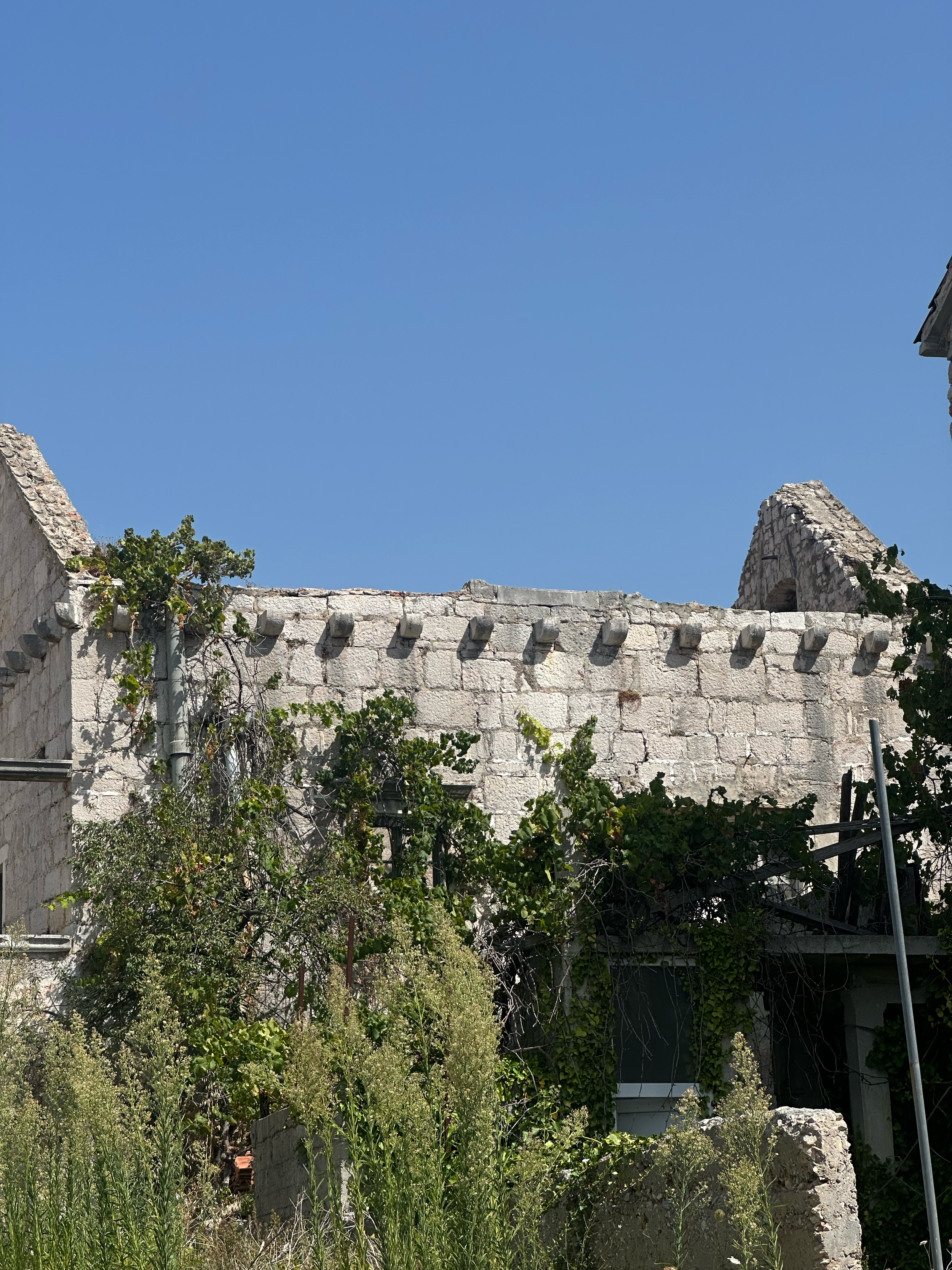 IMG_5296.png