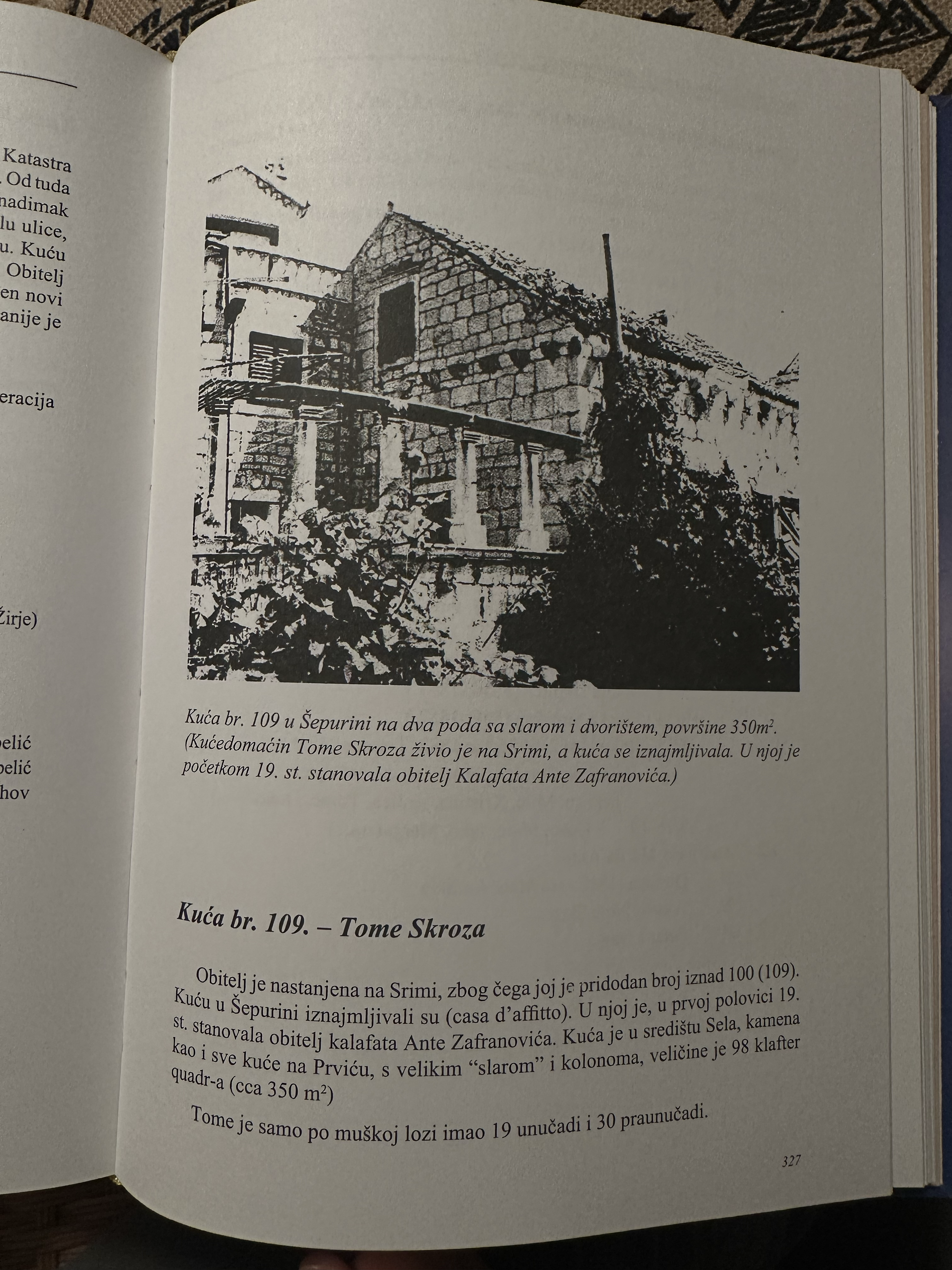 IMG_5269skrozaHouse.png