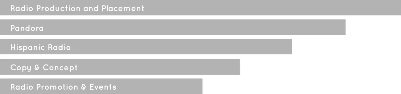 PHMC-Services-Audio.jpg