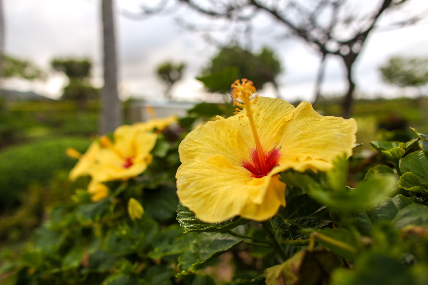 corporate photography Kauai