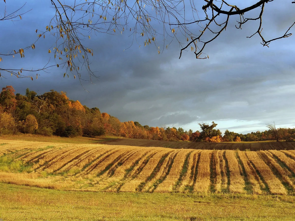 Autumn View of Front Field.jpg