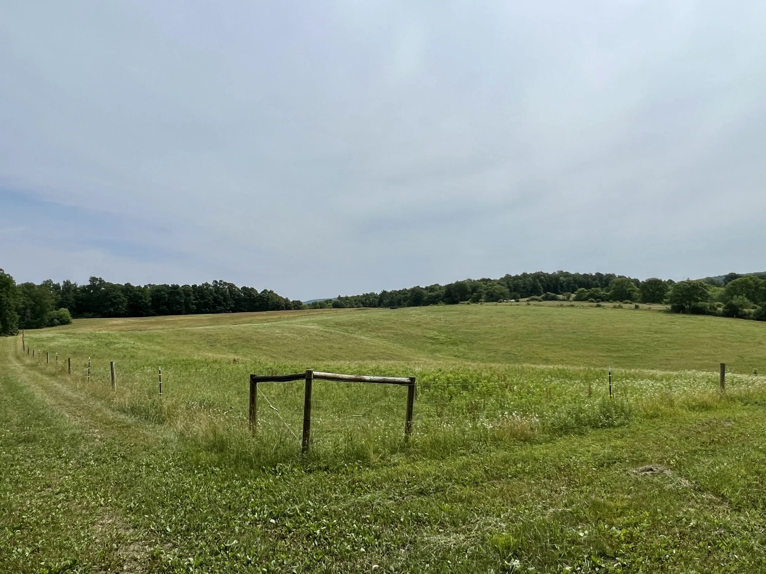 Farms & Acreage — Juniata Realty 8146522234