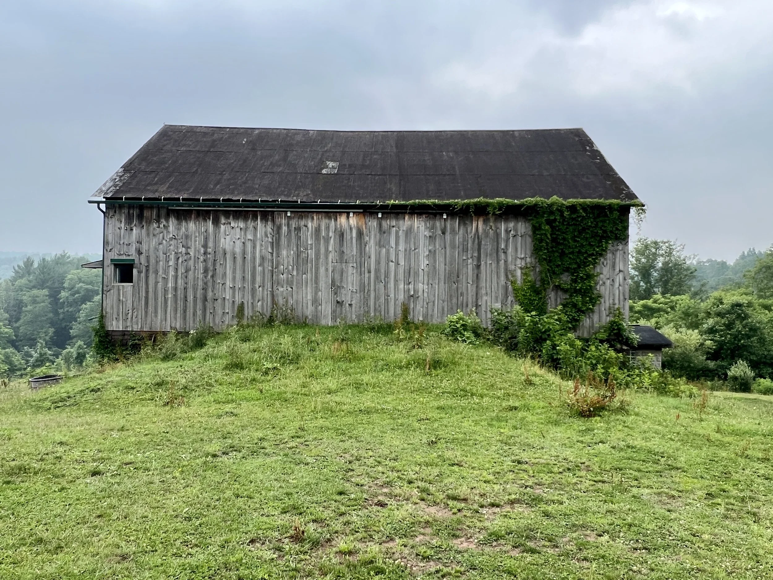 Farms & Acreage — Juniata Realty 8146522234