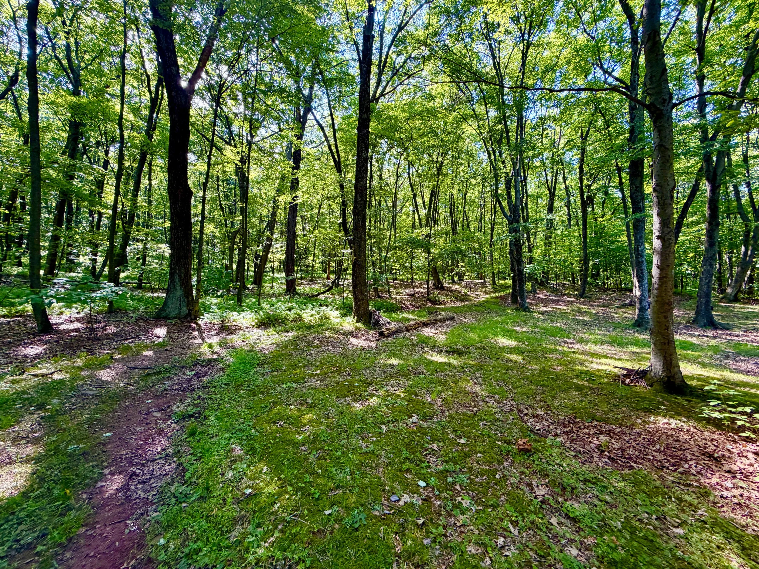 IMG_E7303.JPG