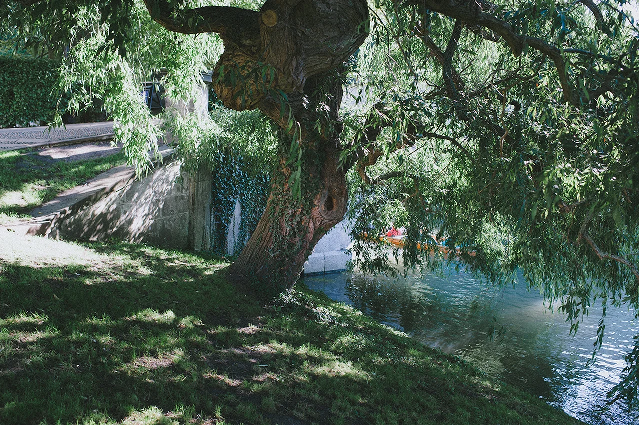 Punting along the River Cam