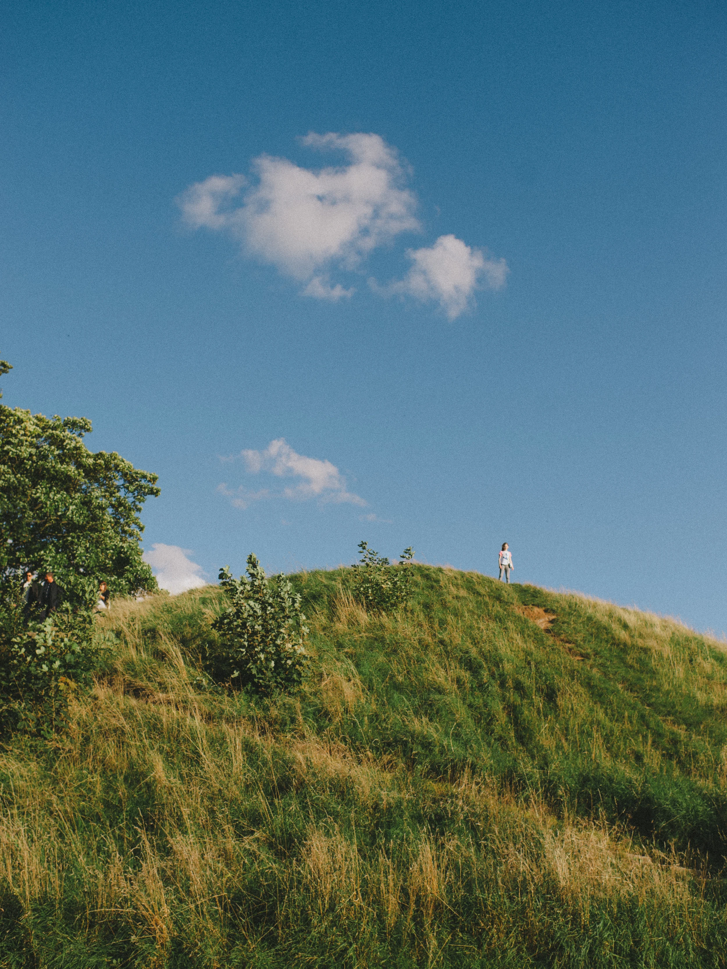Castle Mound built in the 11th Century