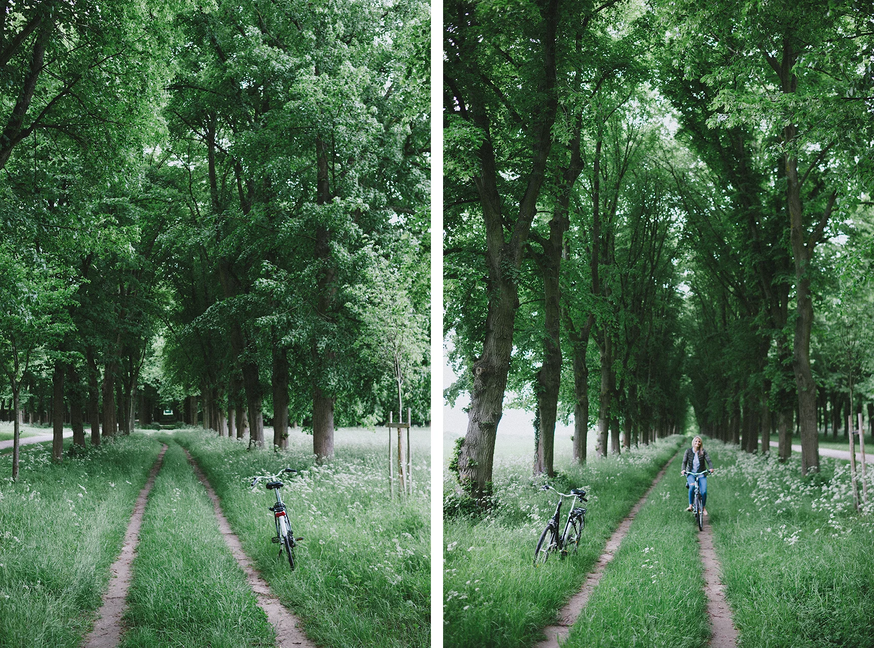 Here are those less-traveled roads...so so so beautiful.