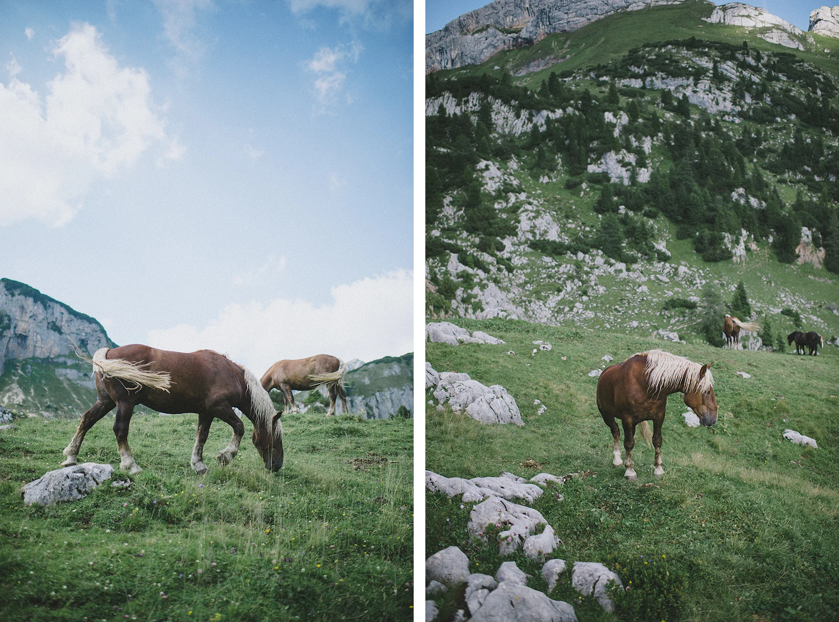 20180723_DOLOMITES-012.jpg