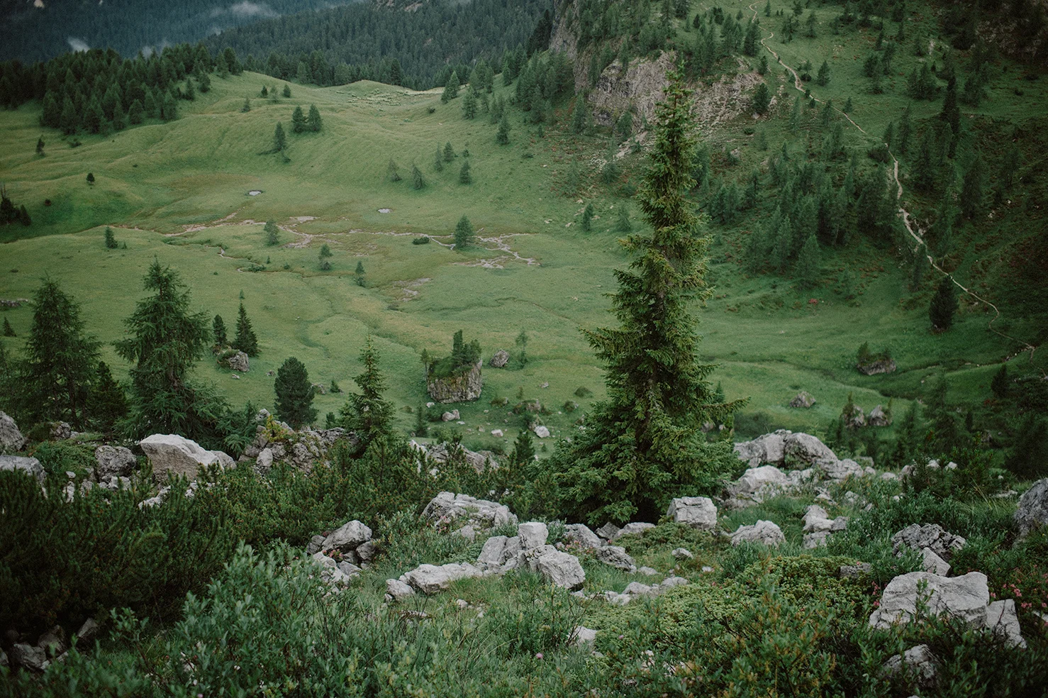 20180722_DOLOMITES-01A_803.jpg