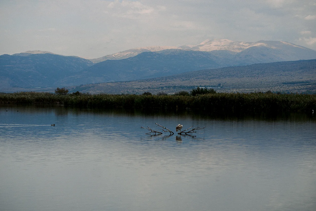 20181103_SEA-OF-GALILEE_536.jpg