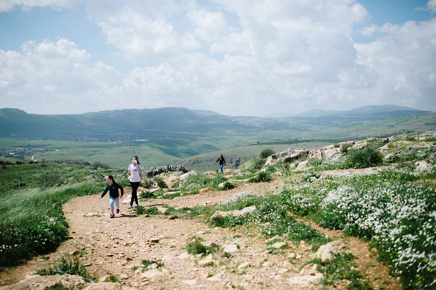 I never would have guess that Israel was this green and lush…so gorgeous.