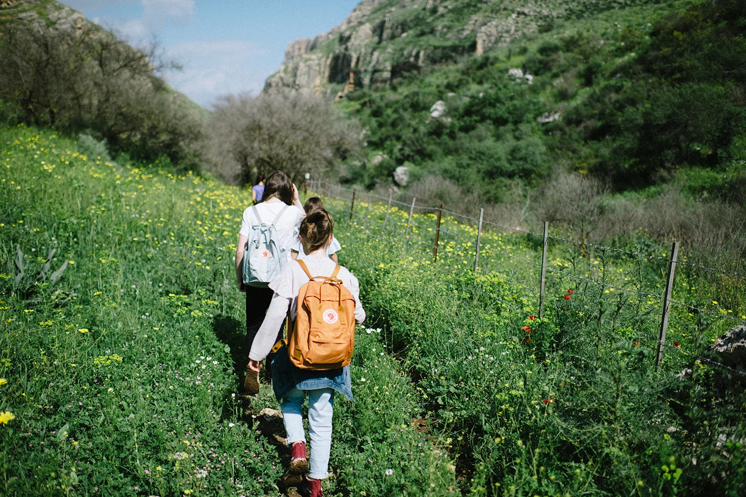 20190317_MOUNT-ARBEL_287.jpg