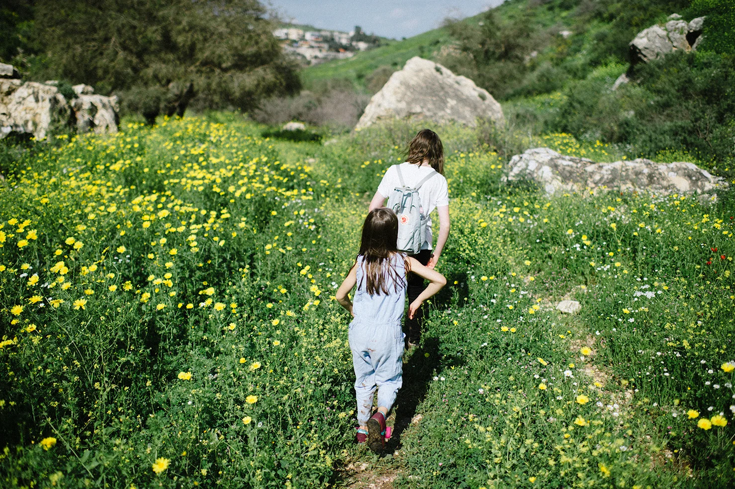20190317_MOUNT-ARBEL_332.jpg