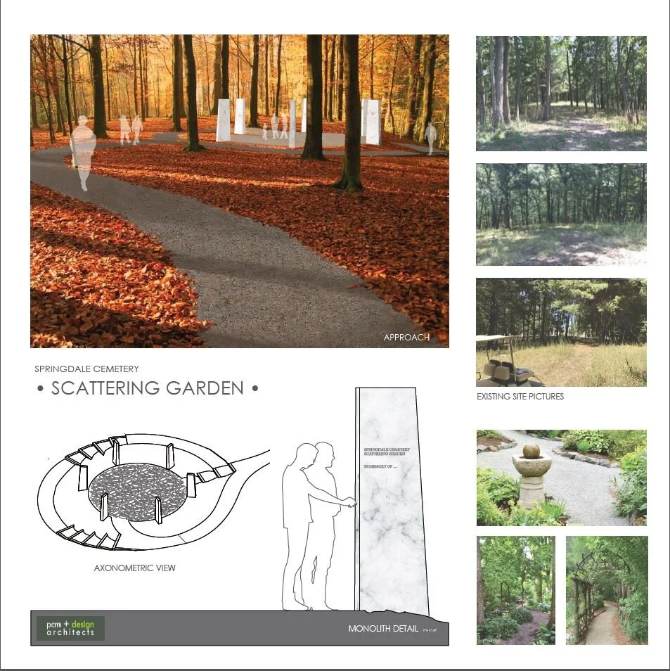 springdale sg board 1.JPG