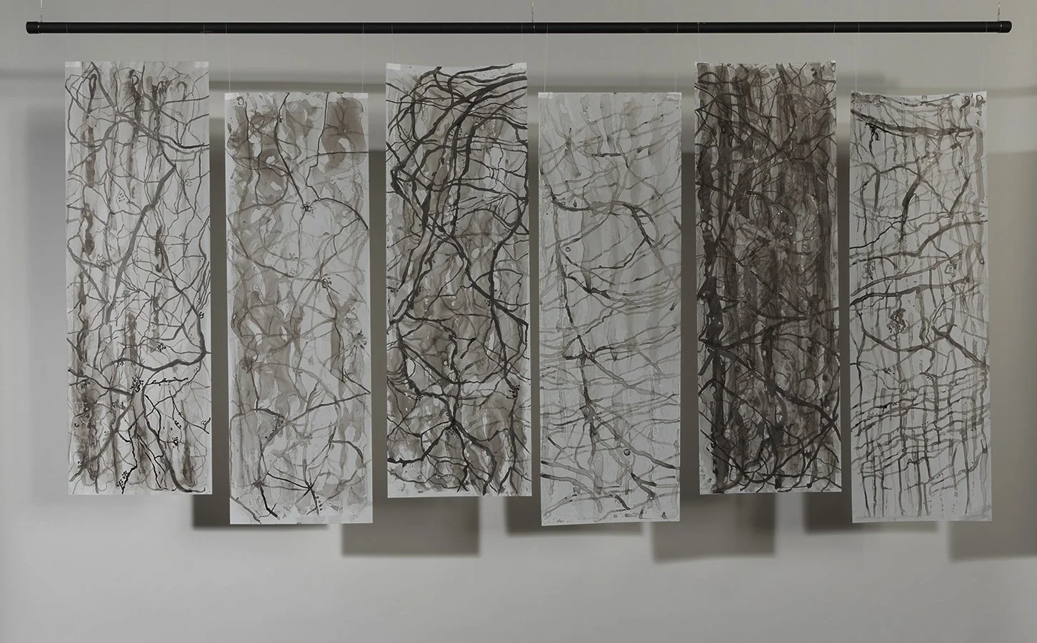 Topolocus 1-6 installation.jpg