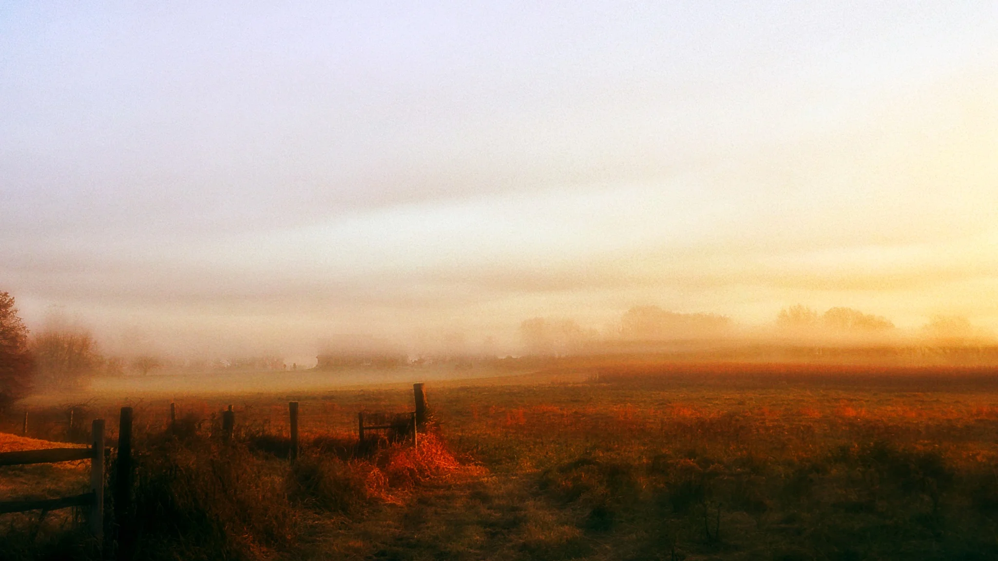 no, it's not a painting...