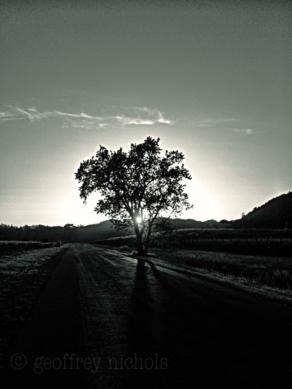 Bennett Lane.jpg