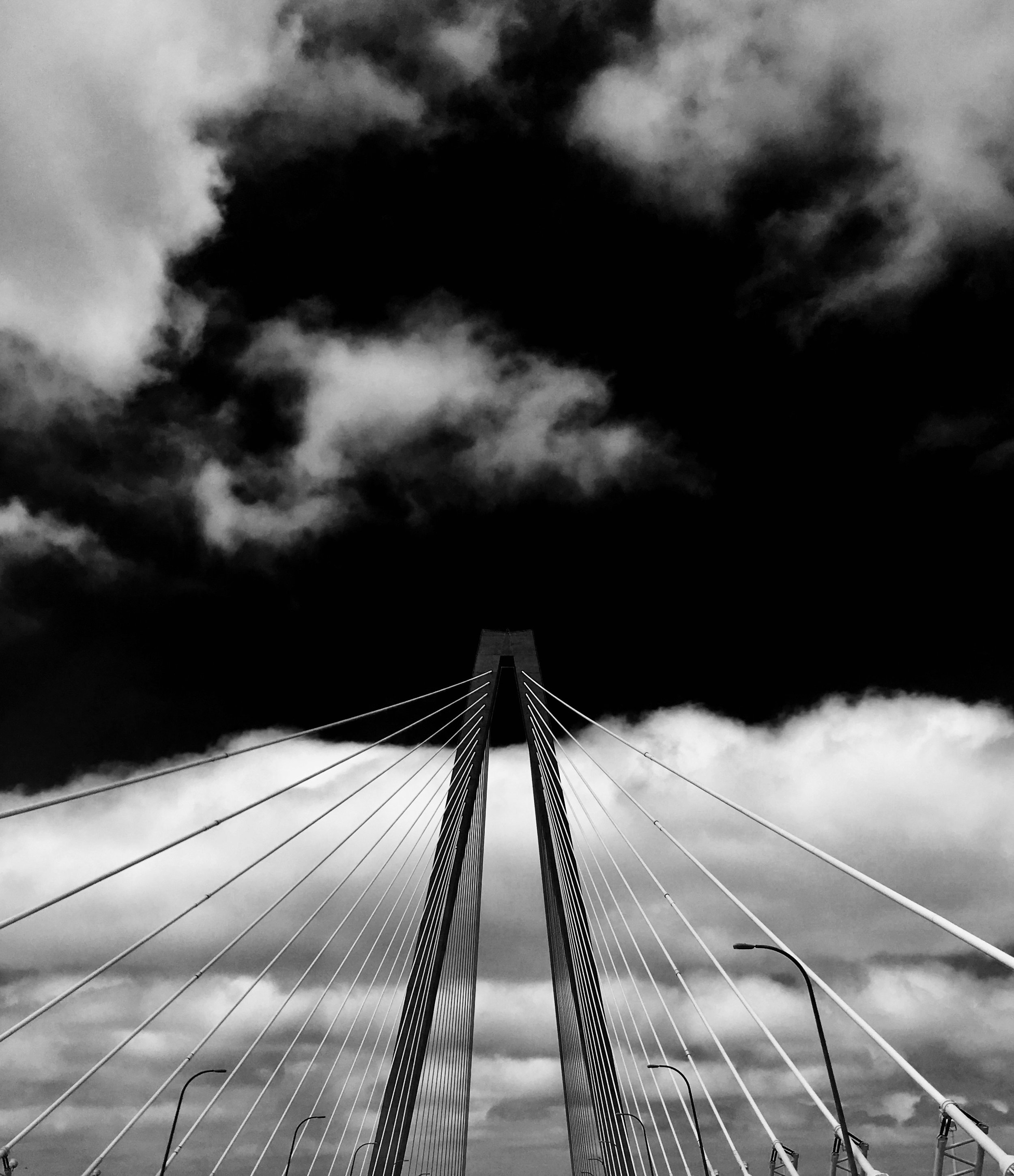 IMG_2440.jpg
