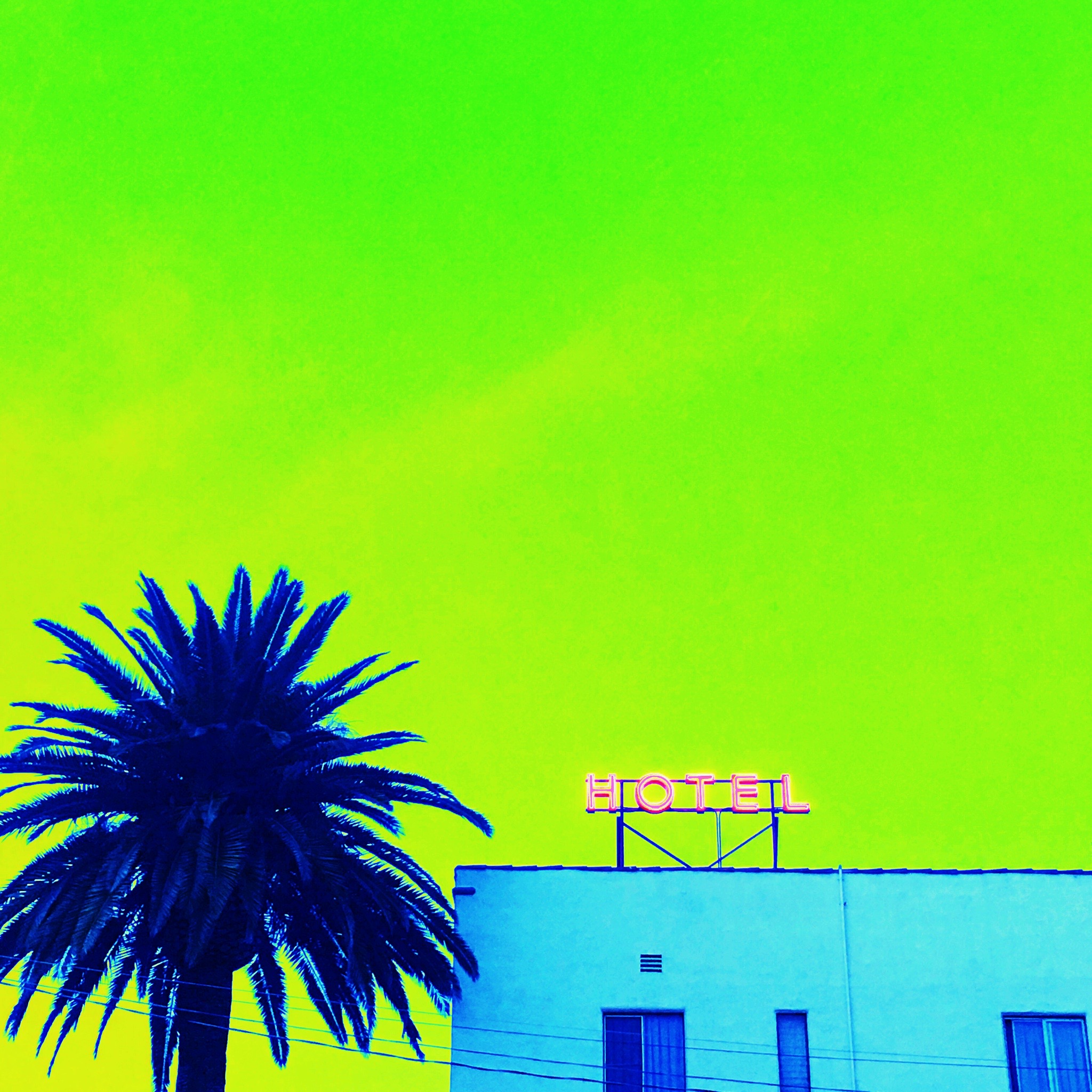"palm hotel" series