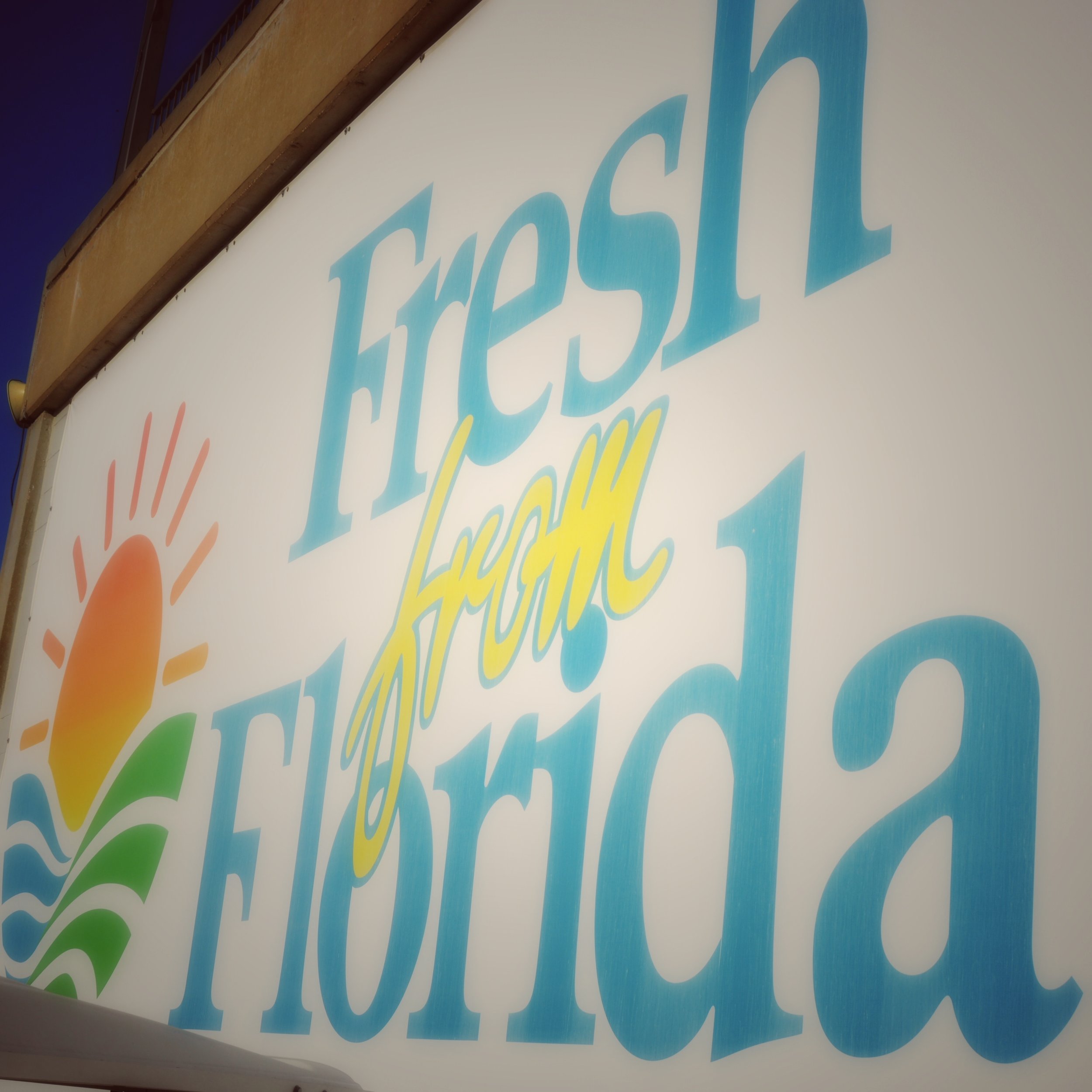 1. fresh FLA.jpg