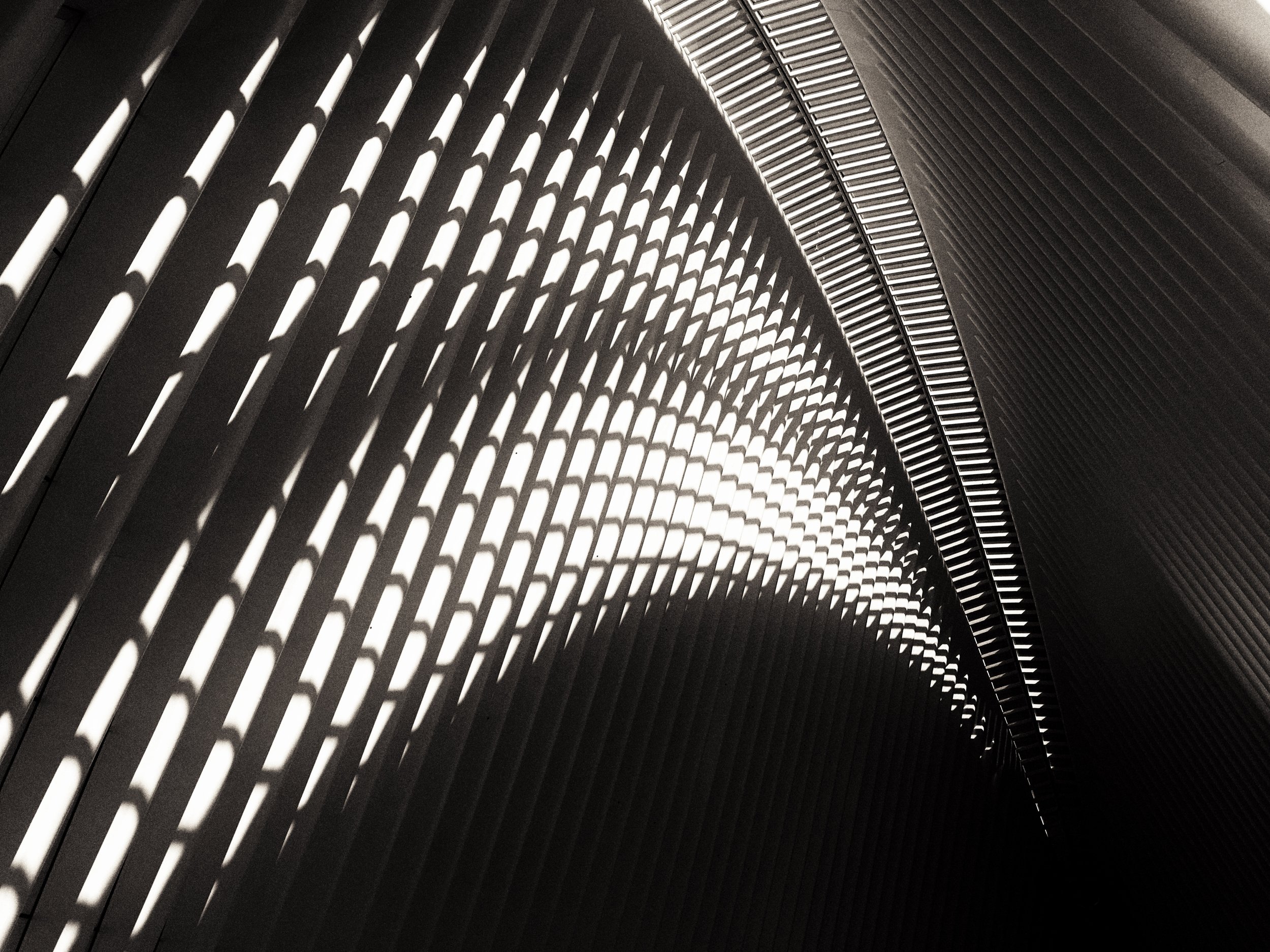 afternoon at the Oculus