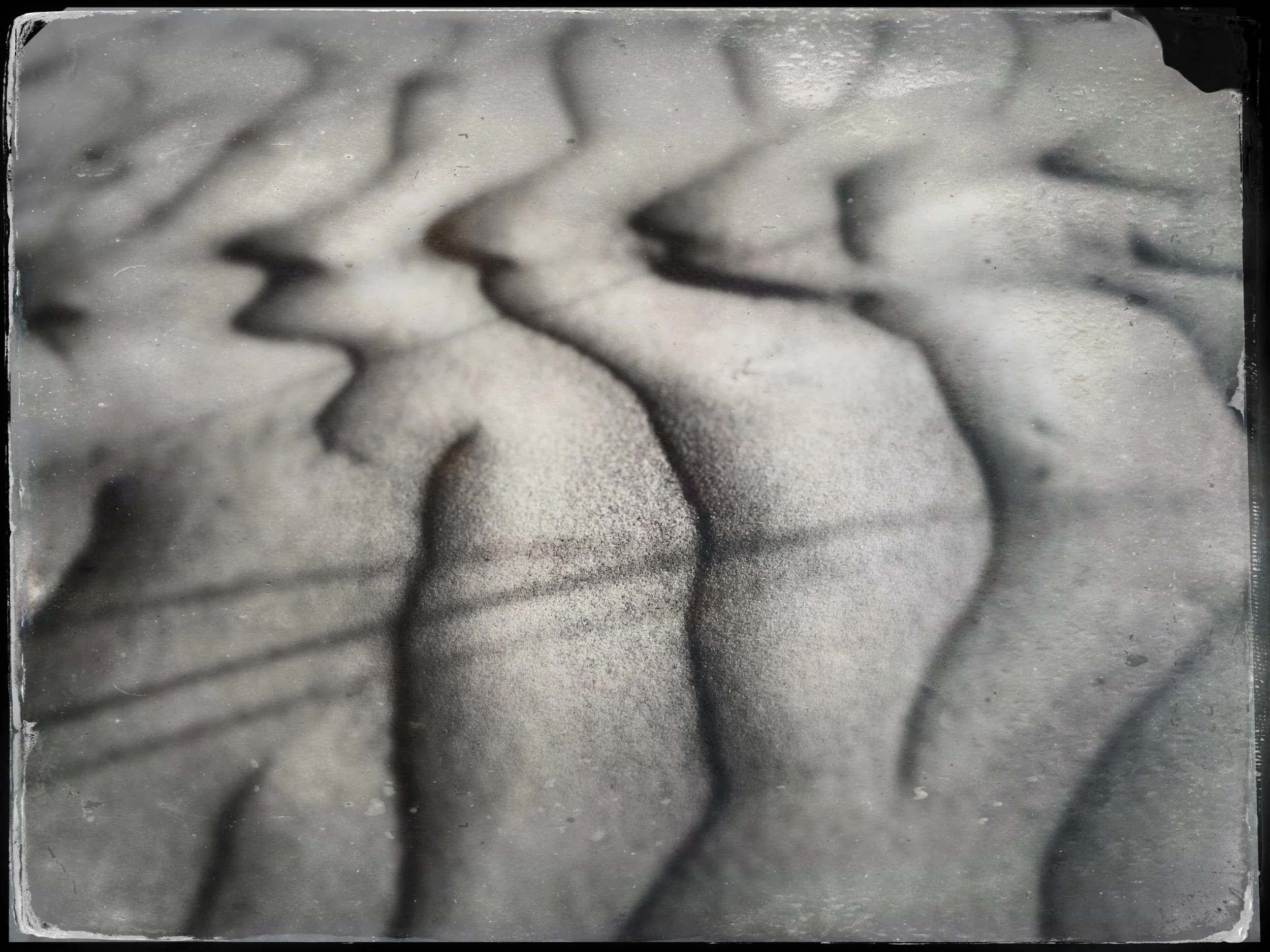 sand with grass shadow.JPG