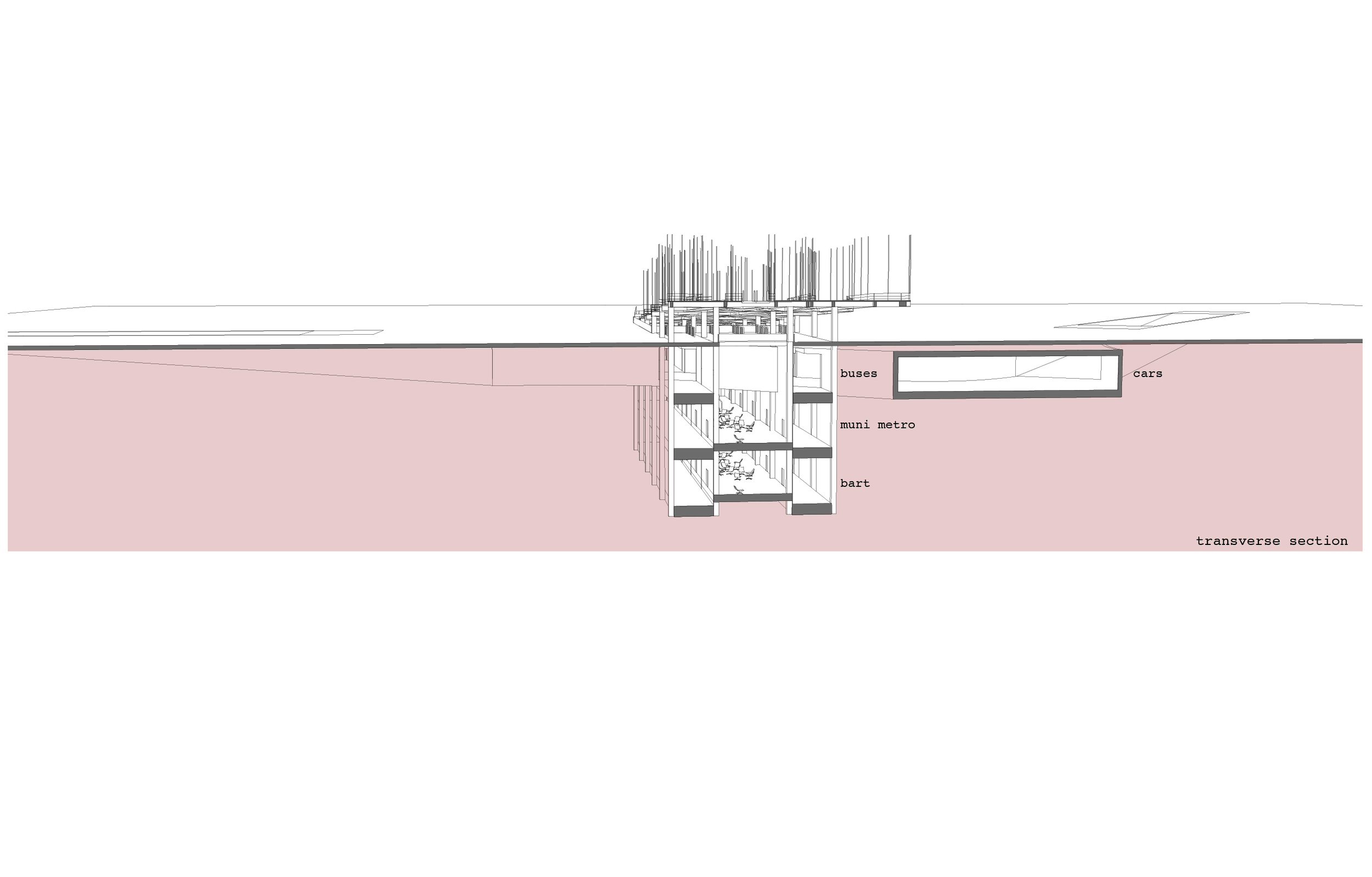 transverse section of the new station