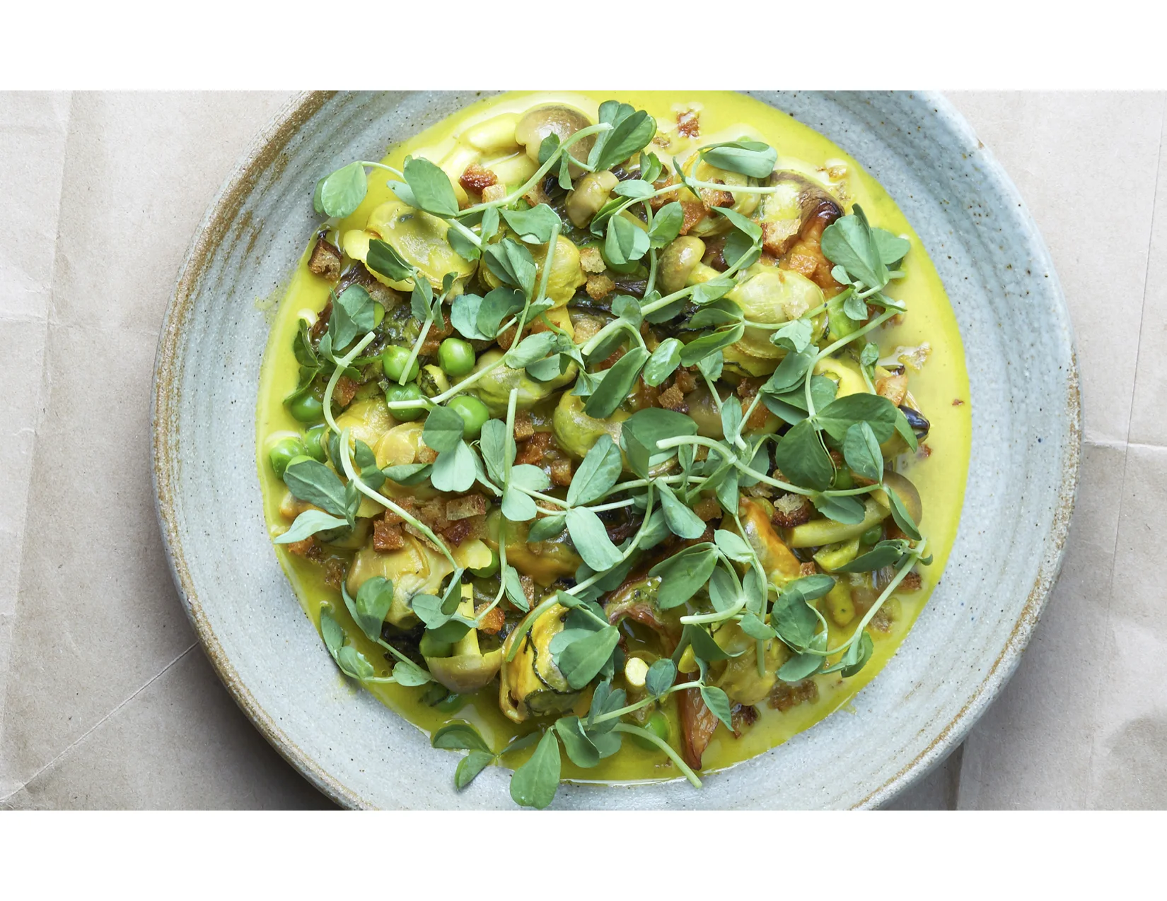 Shallow Chef's bowl