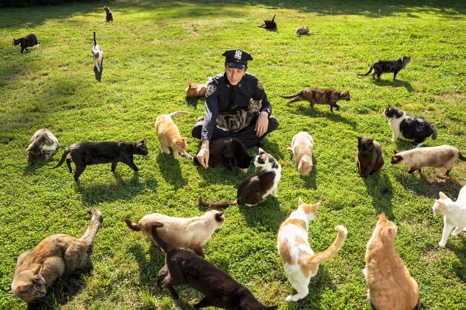Cop & Cats