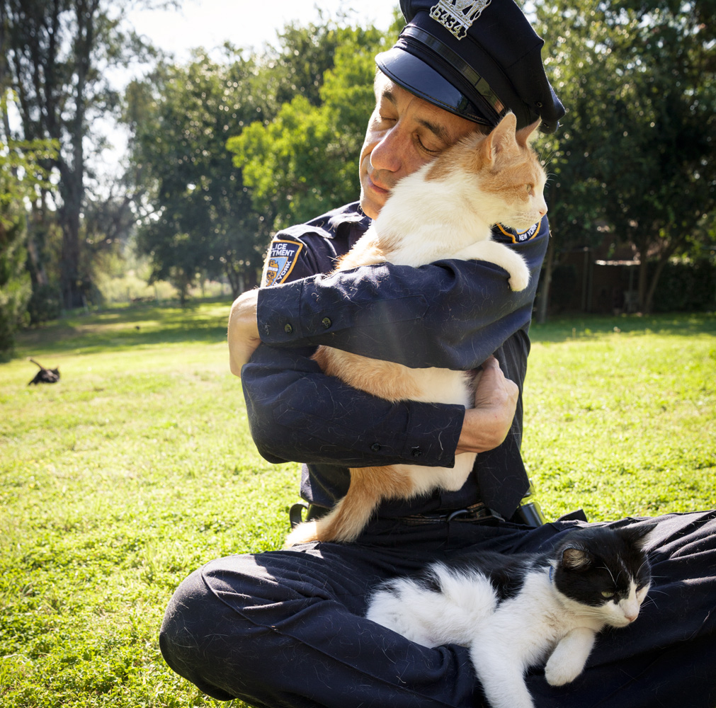 Cop & Cats