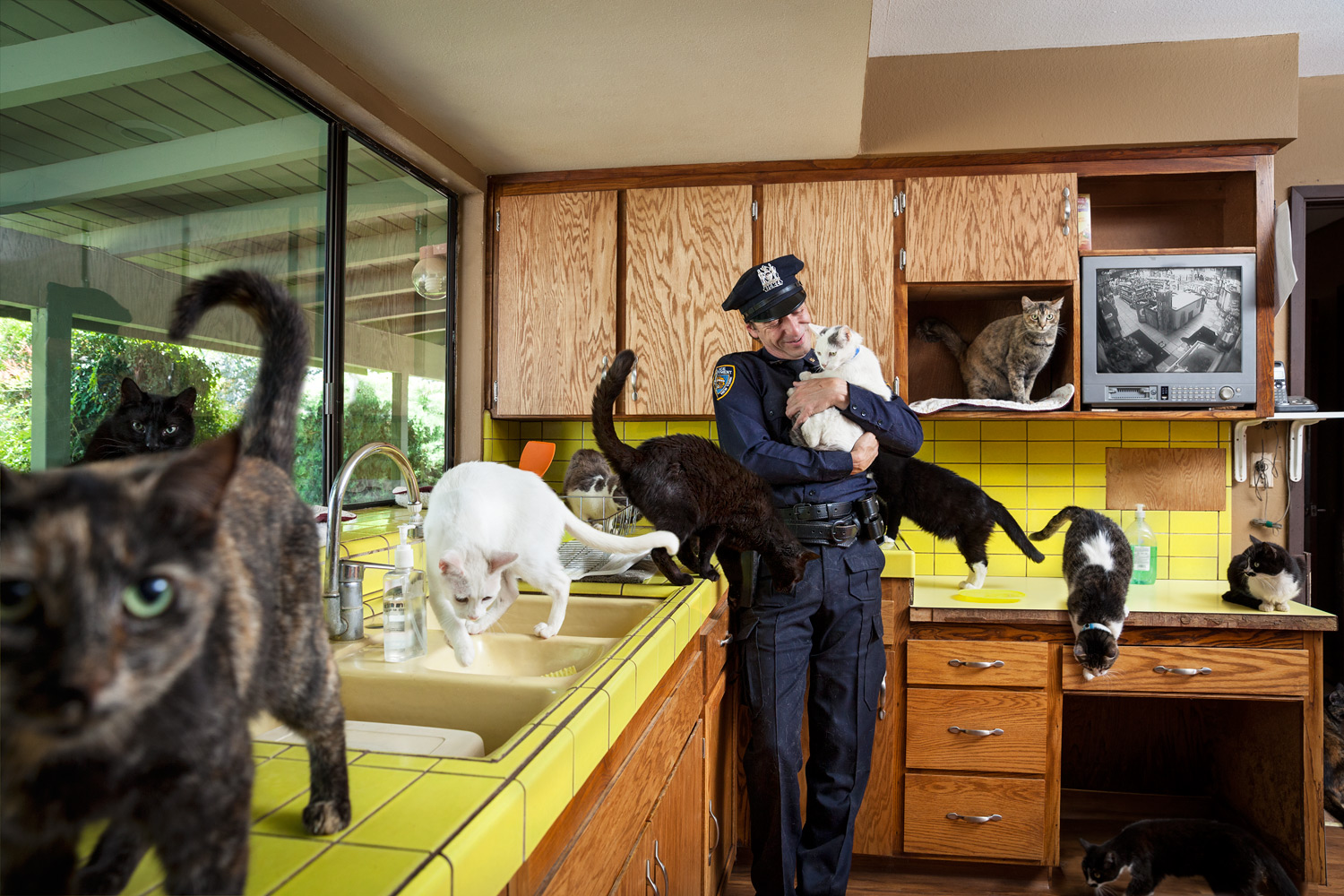 Cop & Cats