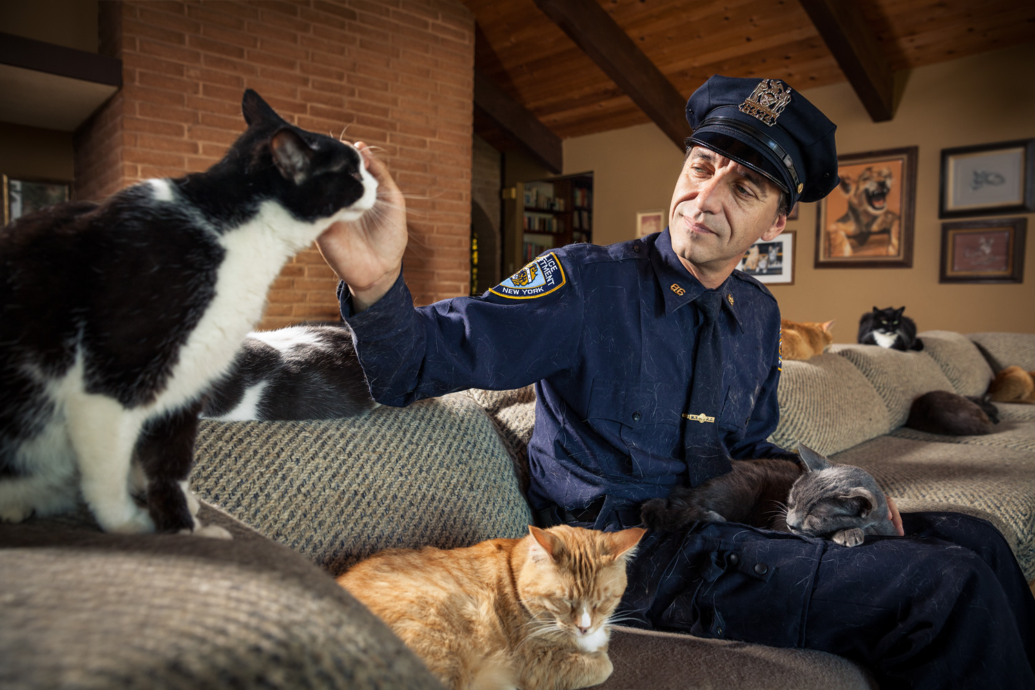 Cop & Cats