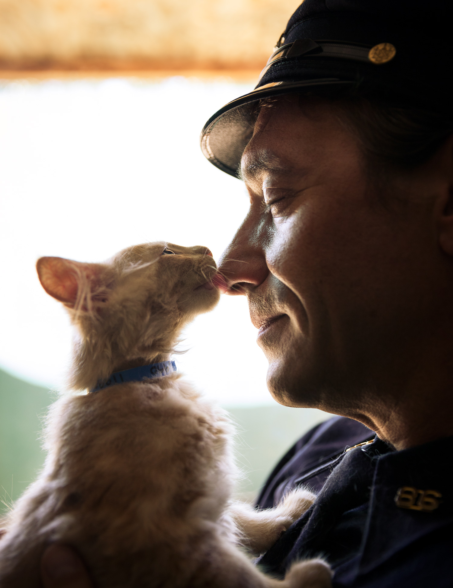 Cop & Cats