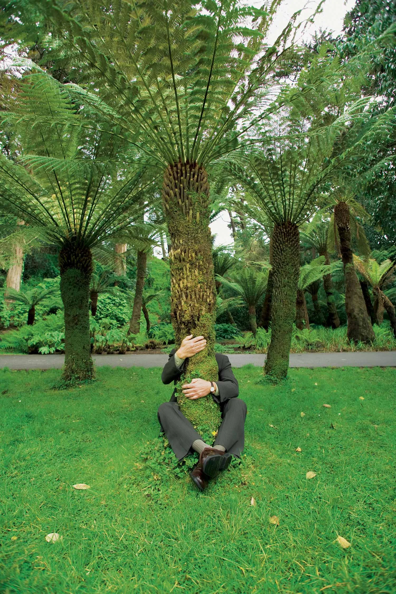 “LOVE YOUR PARKS” Campaign > San Francisco Parks Trust > Agency: Nice Advertising