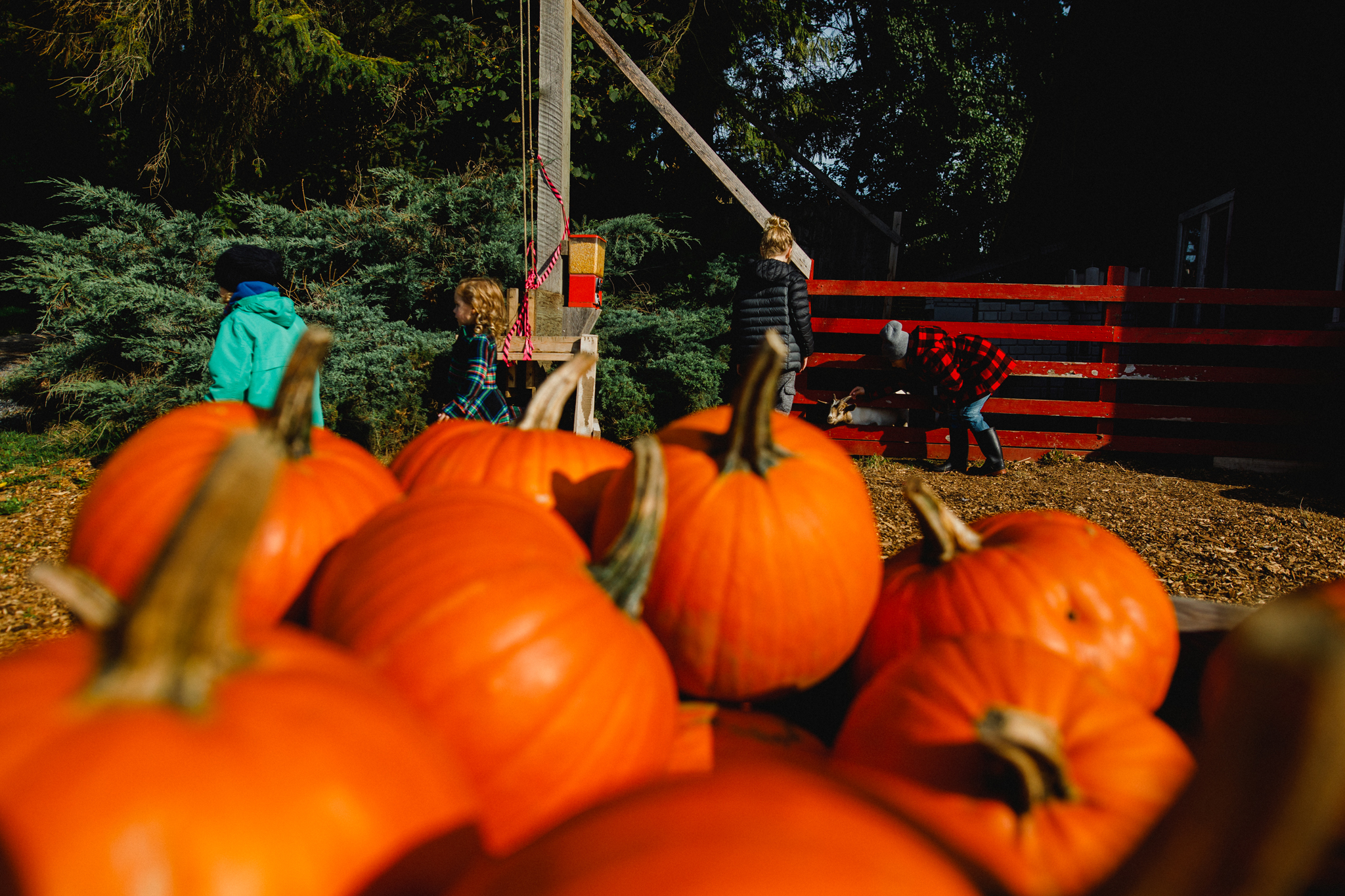 willowview farms amos (2 of 27).jpg