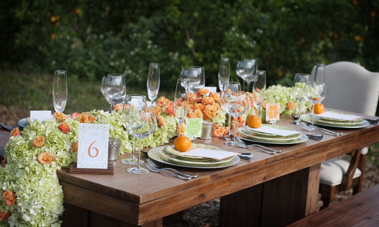  Wedding Photography: Damon Tucci | Wedding Reception: Showcase of Citrus 