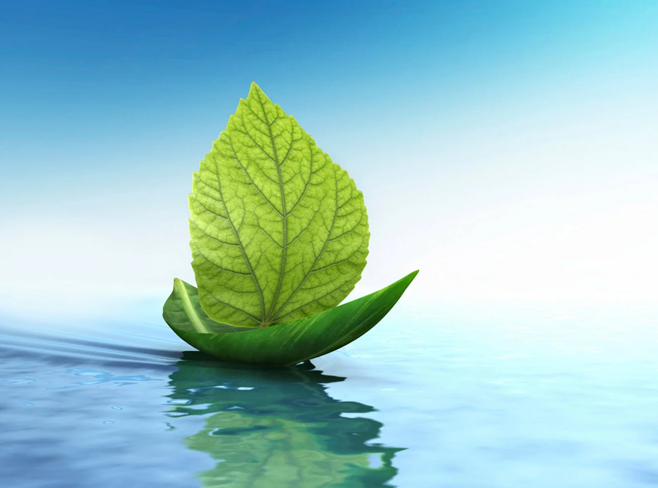 leaf boat-retaken from web.jpg