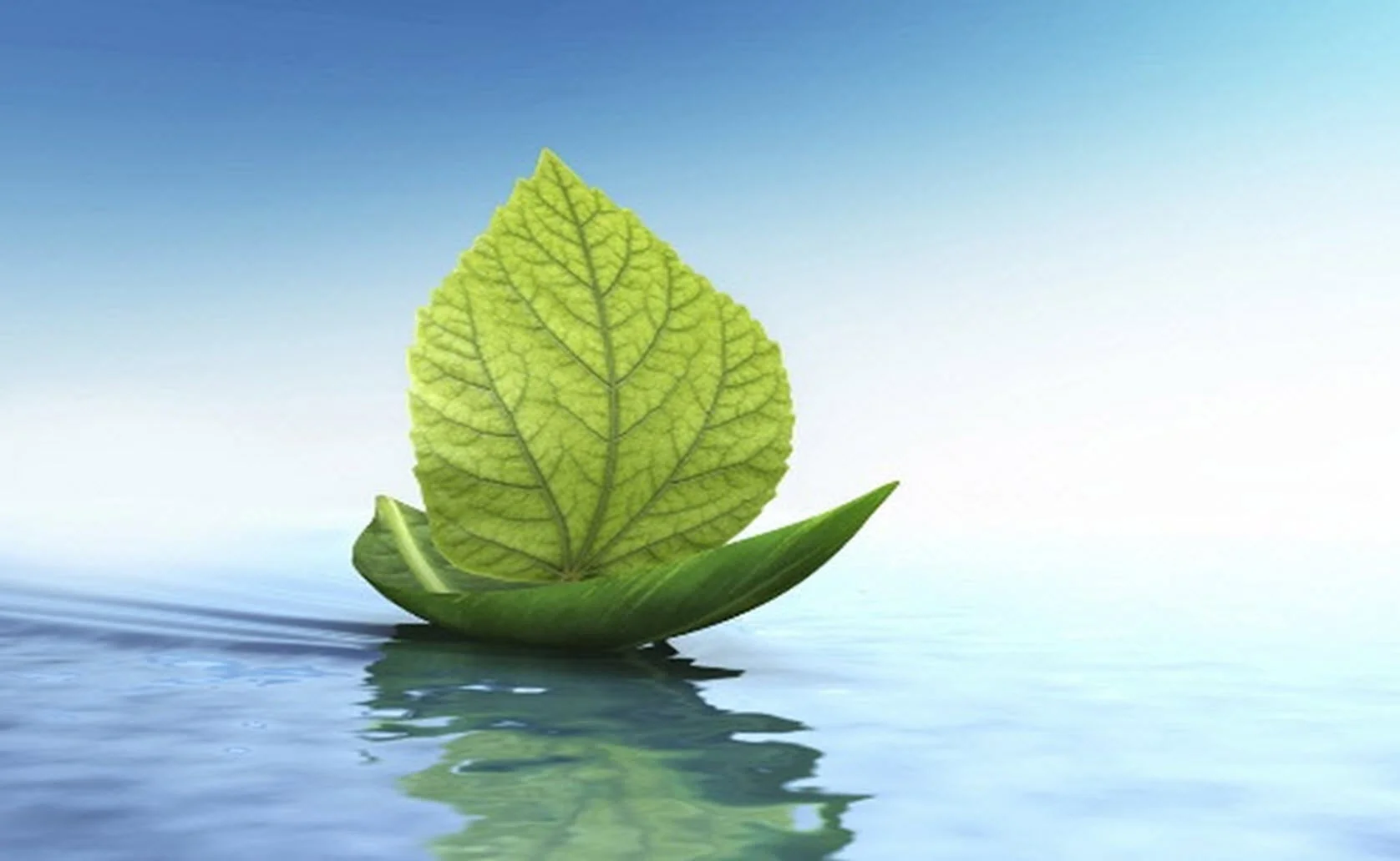 Leaf boat jpeg -bigger size.jpg