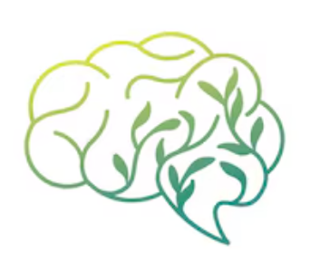 What a DBR session is like