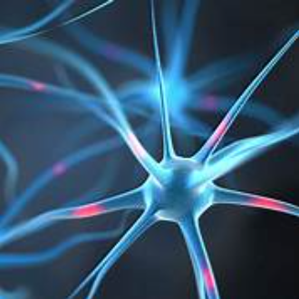 DBR + ILF neurofeedback