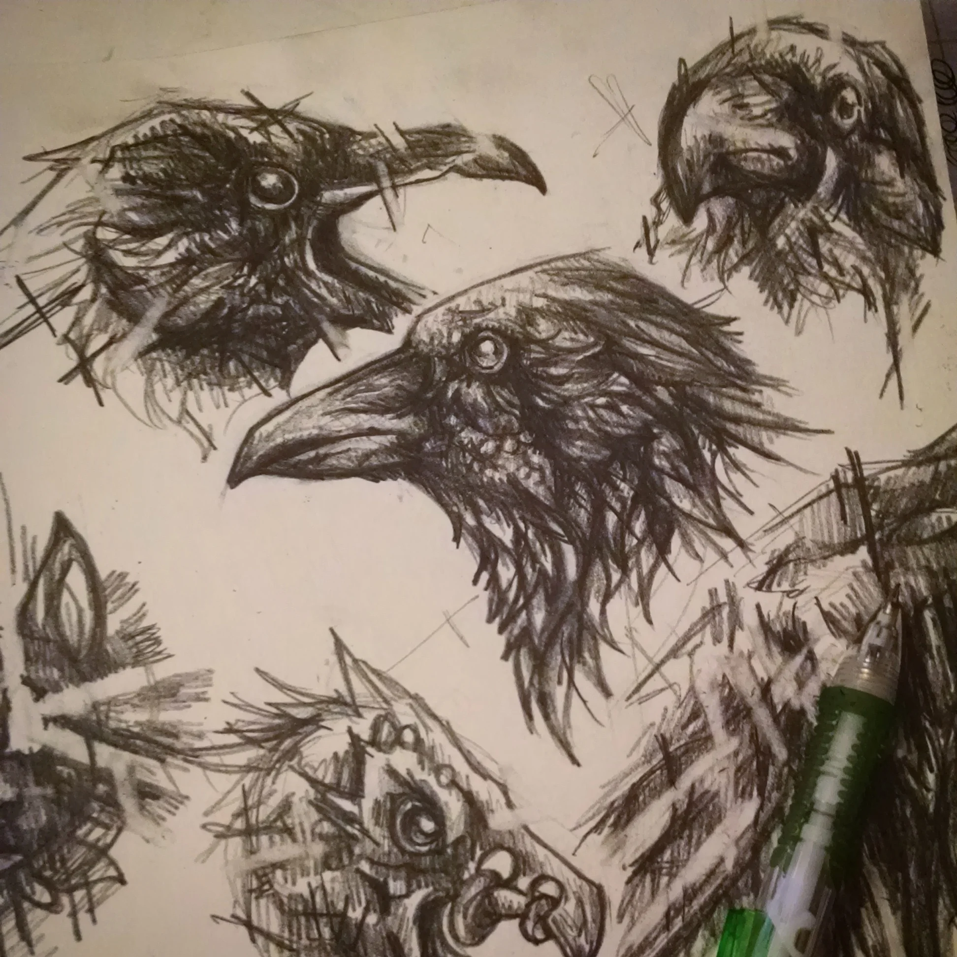 Raven Studies