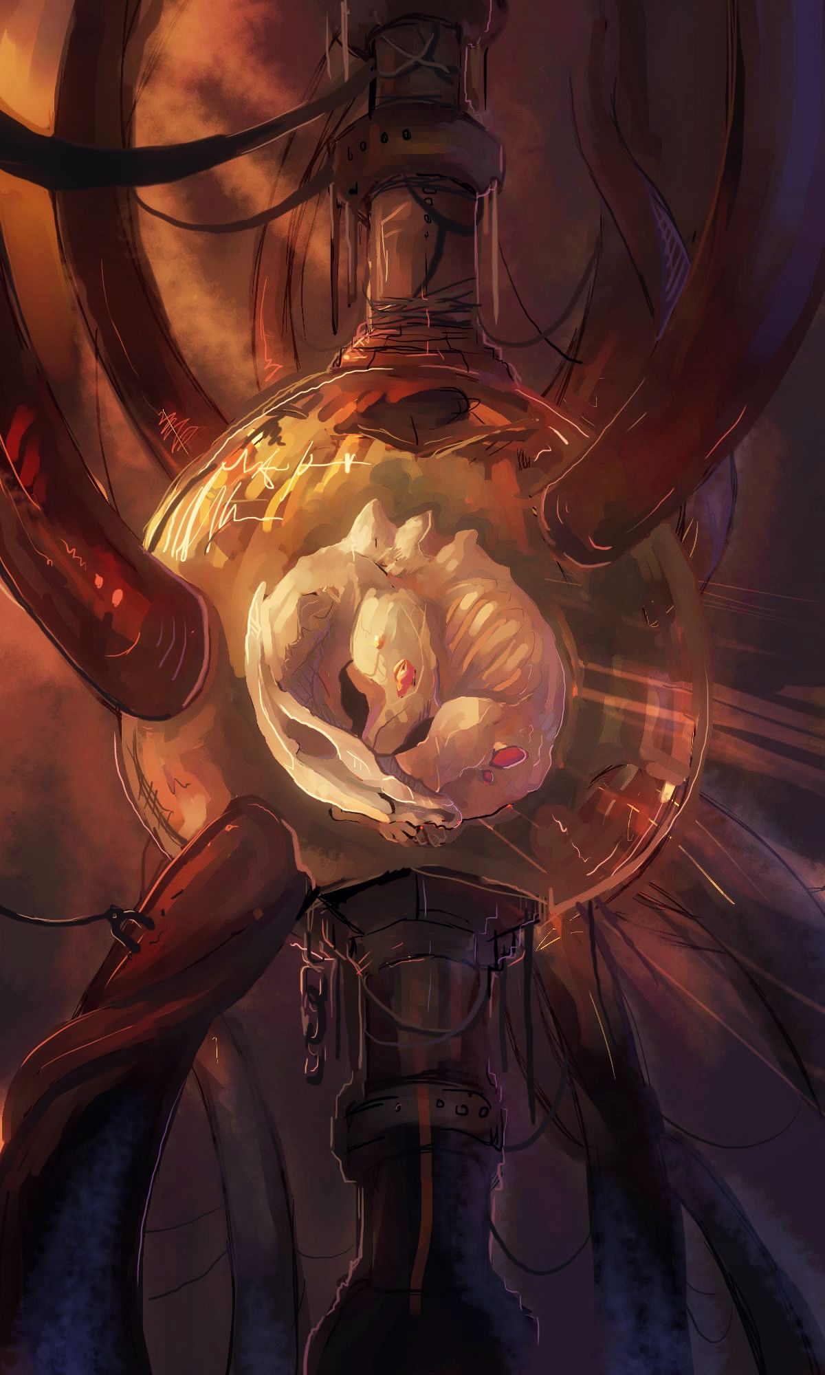 Embryo