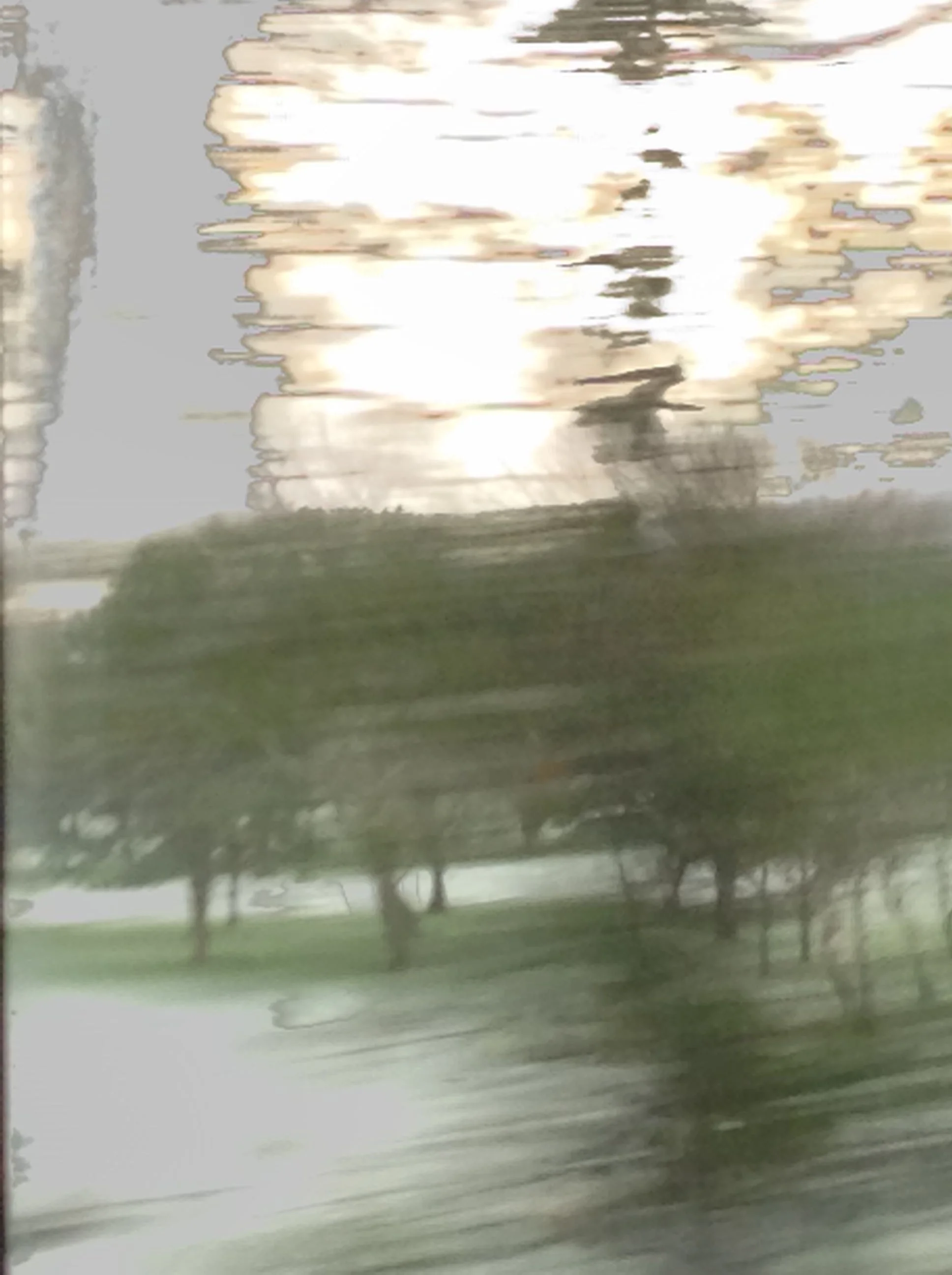 Magnificent Grey & Trees.jpg