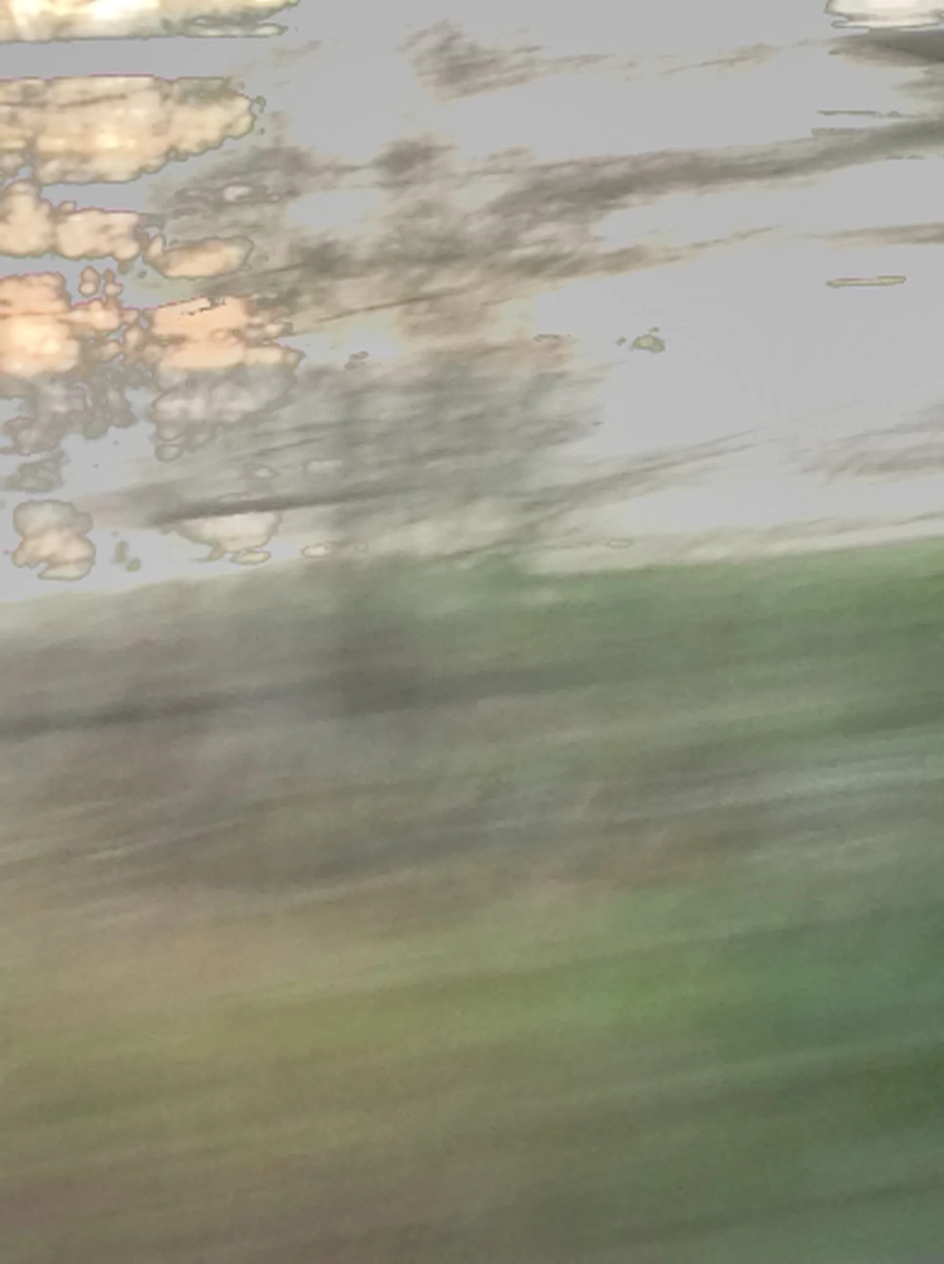 Grey & Green.jpg